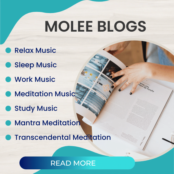 molee blogs